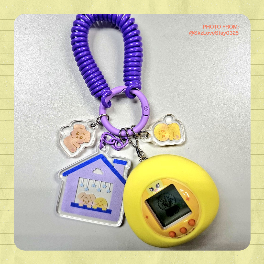 [🌎 PREORDER] SKZOO Roomies Acrylic Keyrings